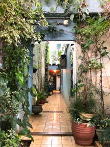 圣保罗米卡萨旅舍 - 孔戈尼亚斯的一条充满了许多盆栽植物的走廊