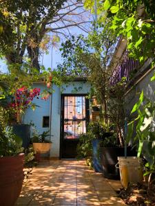圣保罗米卡萨旅舍 - 孔戈尼亚斯的植物屋的前门