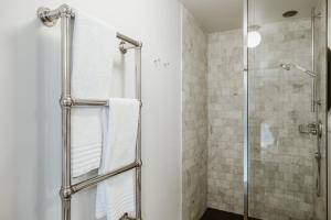 圣马尔滕斯·拉特姆杜普切旅馆的带淋浴的浴室和玻璃门