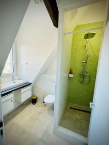 日安L'Herboriste - Appartements meublés的带淋浴、卫生间和盥洗盆的浴室