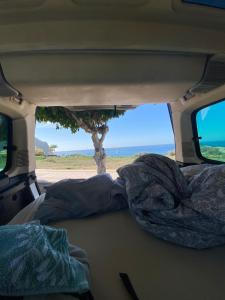 厄尔梅达诺CamperTF - old but lovable mini caravans in Tenerife的后方有树的货车后方景色