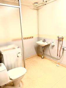 拉彭兰塔Villa Win的带淋浴、卫生间和盥洗盆的浴室
