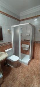 La GuanchaCasa Los Guanches的带淋浴、卫生间和盥洗盆的浴室