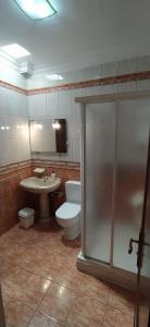 La GuanchaCasa Los Guanches的浴室配有卫生间、盥洗盆和淋浴。