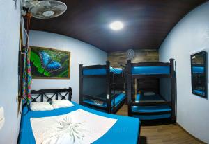 托尔图格罗Hostel Tortuguero 7BackPackers的一间客房内配有两张双层床的房间