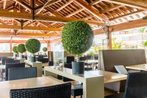 圣蓬萨扎菲洛洁美旅馆的一间设有桌椅和盆栽的餐厅