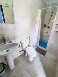 Ribeira GrandePousada Green Place的浴室配有卫生间、盥洗盆和淋浴。