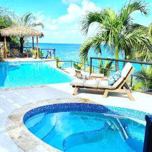 Cruz BayLime in de Coconut Villa的一个带两把椅子的游泳池,背景是大海