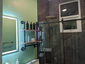 圣胡安Casa Verde - Modern Apt in Santurce's Art District in San Juan的带淋浴和玻璃淋浴间的浴室