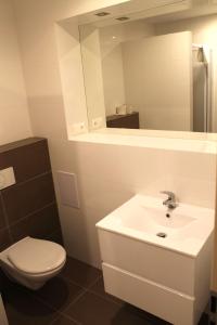特尔纳瓦斯派克特鲁姆酒店的一间带水槽、卫生间和镜子的浴室