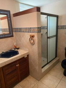 普拉亚科罗纳多Coronado Beachfront tropical home!的一间带玻璃淋浴和水槽的浴室