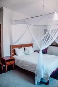 阿鲁沙Tropicana House的一间卧室配有一张带蚊帐的床