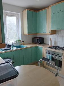 磨坊山2 Bed Mill Hill Flat的厨房配有绿色橱柜、桌子和窗户。