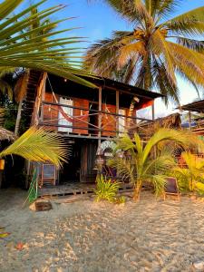 GuachacaHostal Paraíso的海滩上一棵棕榈树的房子