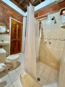 奥隆海花园洋房酒店的带淋浴和卫生间的浴室