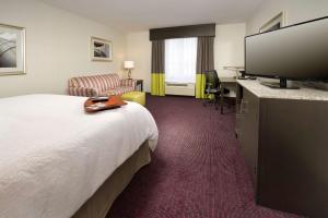 奇克托瓦加布法罗机场汉普顿套房酒店的配有一张床和一台平面电视的酒店客房