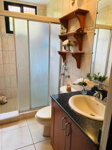 SoráLuxurious private room with bathroom in mountaine的浴室配有卫生间、盥洗盆和淋浴。