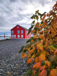 Pilleyʼs IslandThe View suites and breakfast in Triton, Newfoundland的一座红色的建筑,后面有一座灯塔