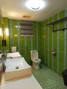 圣安东尼奥Playa Alba Beach Front and Resort的绿色浴室设有卫生间和水槽
