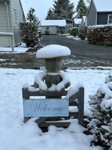 箭镇Hampshire Holiday Parks - Arrowtown的雪覆盖的院子中的雕像