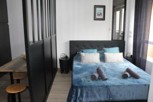 托农莱班Studio centre-ville, proche des thermes的一间卧室配有一张带蓝色床单和枕头的床。