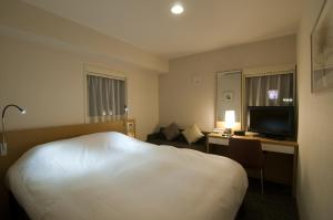 鹿儿岛鹿儿岛日光酒店的酒店客房配有一张床和一张书桌及一台电视
