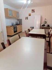纳堡Naab-burg的厨房配有2张桌子和椅子以及冰箱