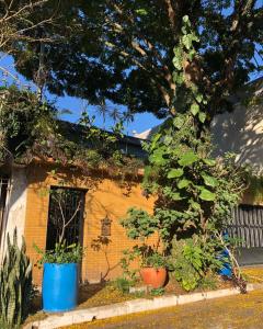 圣保罗米卡萨旅舍 - 孔戈尼亚斯的树旁有两块蓝色的锅的砖房