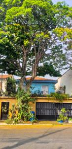 圣保罗米卡萨旅舍 - 孔戈尼亚斯的前面有一棵树的蓝色房子