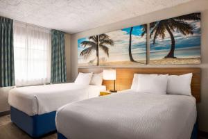 迈阿密迈阿密/机场北戴斯酒店的棕榈树酒店客房内的两张床