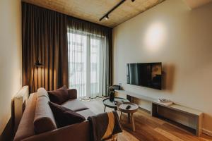 奥尔登堡HIIVE Oldenburg的带沙发和平面电视的客厅