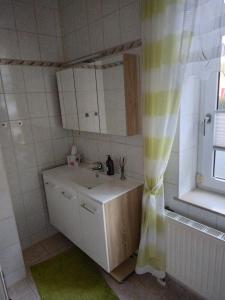 MohlsdorfFerienwohnung Romy Müller的一间带水槽和淋浴帘的浴室