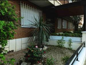 马德里Bonito apartamento con bañera en la habitacion的院落中的植物