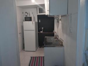 里斯本Chiado / Carmo Small Artist Lodge的一间带水槽和冰箱的小厨房