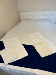 恰纳卡莱Efe Can Apart Otel的一张白色的床,上面有两个白色的枕头