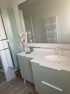 Coulounieix-ChamiersLa Villa des Vergers的白色的浴室设有水槽和镜子