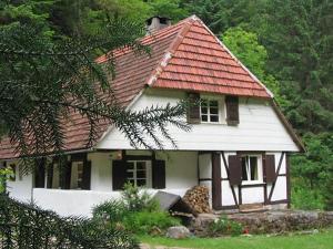 霍恩贝格Waldbauernhof的一间白色的小房子,有红色的屋顶