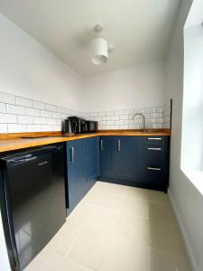 ChacewaterPoldice Valley Apartments的厨房配有蓝色橱柜和水槽
