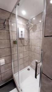 ChacewaterPoldice Valley Apartments的浴室里设有玻璃门淋浴