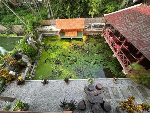 琅勃拉邦马哈索克别​​墅酒店的桥池的空中景观
