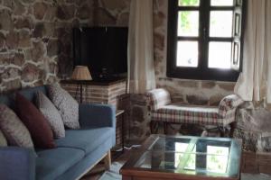 比努埃萨Casa Rural con encanto en plena Reserva de Urbión.的客厅设有蓝色的沙发和窗户。