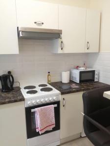 科克Charming 1-Bed Apartment in Cork的厨房配有炉灶和微波炉。
