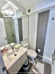 康塞普西翁EBISUR Apart - Hoteles MAIPU的一间带水槽和卫生间的浴室
