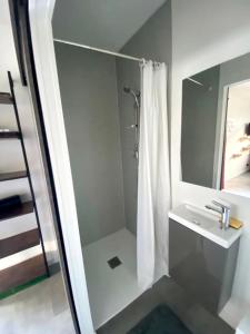 勒芒Studio atypique Le Mans的带淋浴和盥洗盆的白色浴室