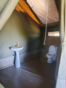 SekenaniOrboma maasai home stay的一间带水槽和卫生间的浴室