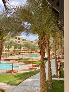 赫尔格达Apartment in el karma aqua beach resort hurghada near El gouna的度假村内一群棕榈树,设有游泳池