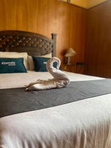阿雷基帕Hotel La Posada Del Sol的天鹅坐在卧室的床上