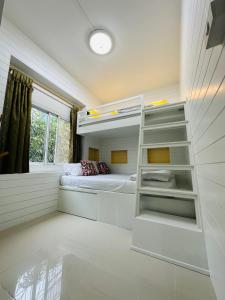 清迈HUG Backpackers的一间卧室配有双层床和窗户。