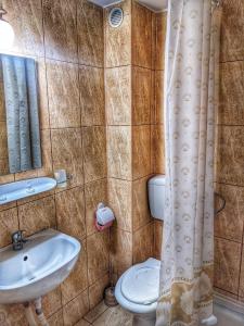 科马尔尼克Vila Drumetului的浴室配有水槽、卫生间和浴帘
