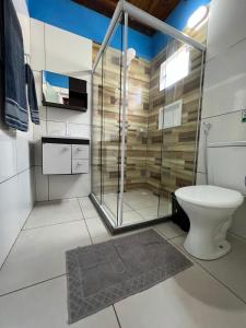 伊列乌斯FLATS SETE ESTRELAS DO MAR的一间带卫生间和玻璃淋浴间的浴室